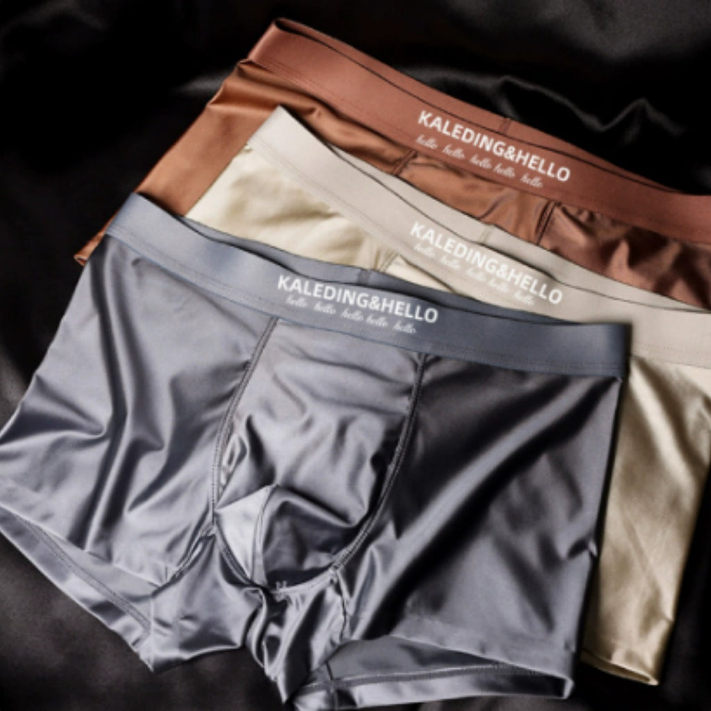 Satin Ice Silk Hommes Sous-vêtements