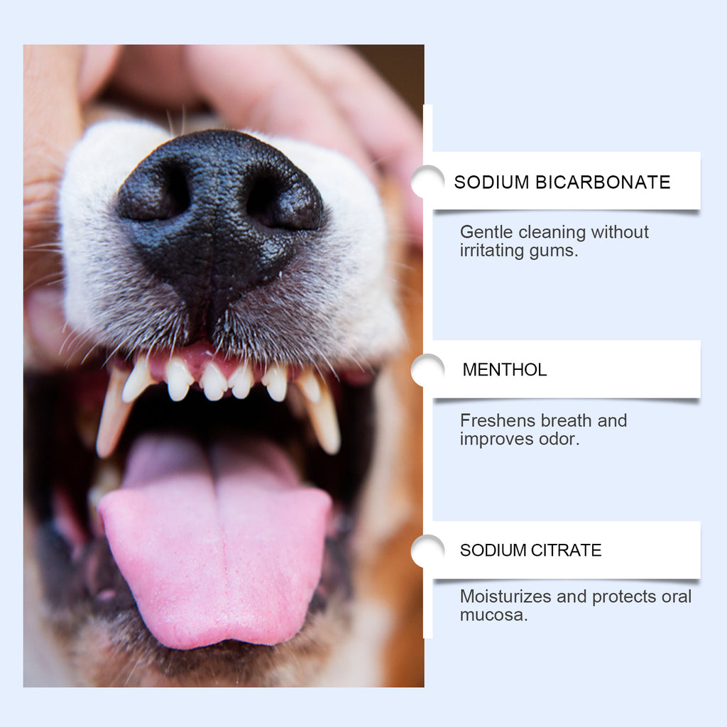 Poudre de nettoyage des dents de chat et de chien