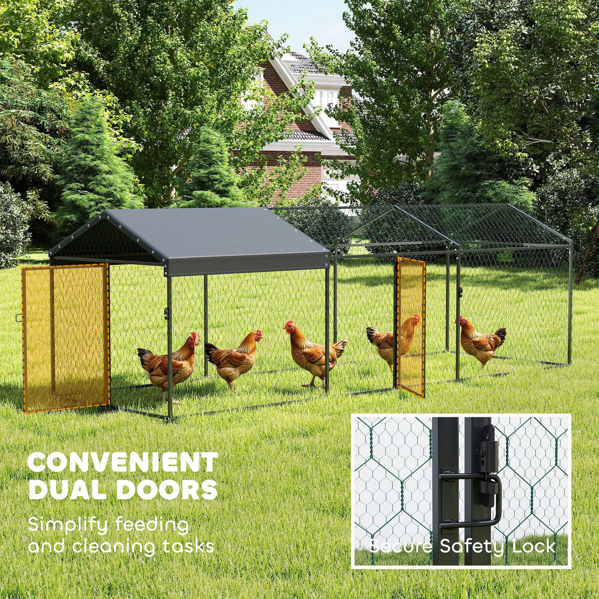 Coop de poulet en métal