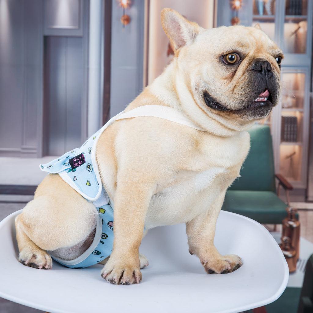 Taureau Anti-harcèlement Sous-vêtements Estreux Lavable Chien Femme Menstruel Pantalons de sécurité