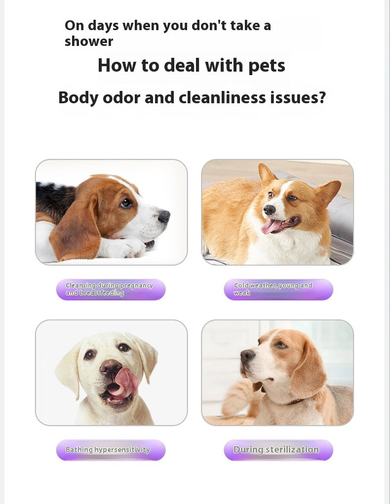Nettoyage à sec Désinfecter le papier Déodorant Aliments pour animaux Gants jetables pour animaux