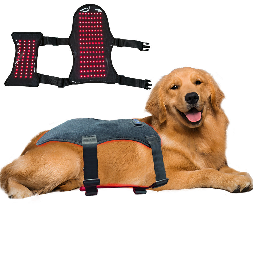 Ceinture de traitement de lumière rouge pour les chats et les chiens