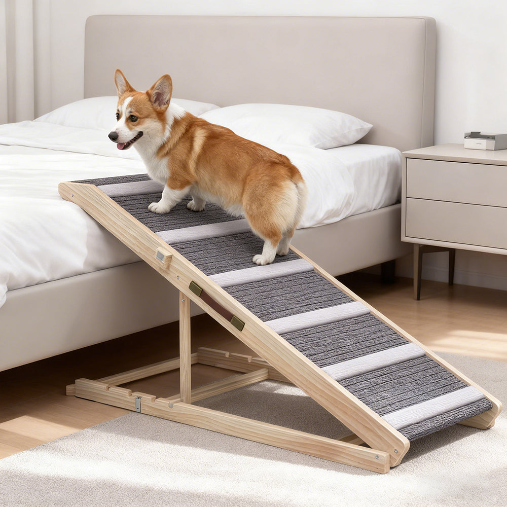 Dog Ramp for Couch