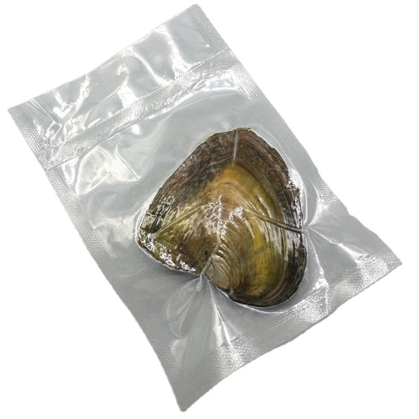 Perle moule-1 perle-12 * 7 *2cm-1 perle