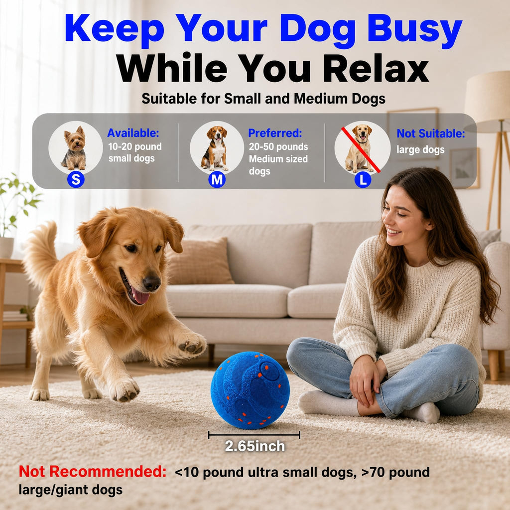 Balle interactive pour chien