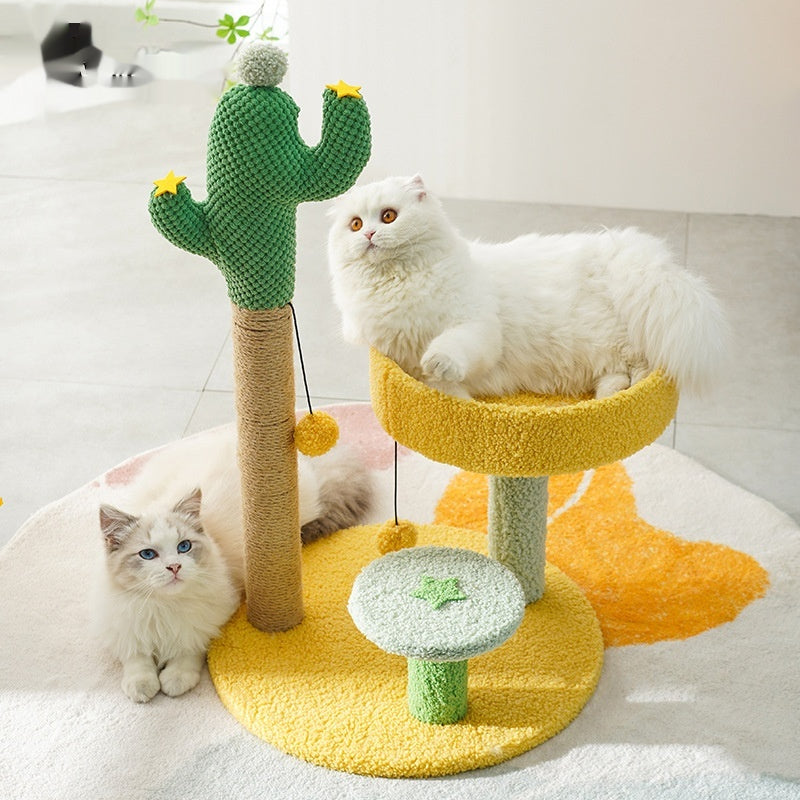Cactus cadre d'escalade chat arbre chat jouet