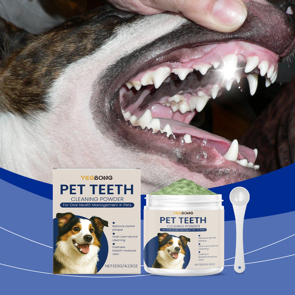 Poudre de nettoyage de dents de chien