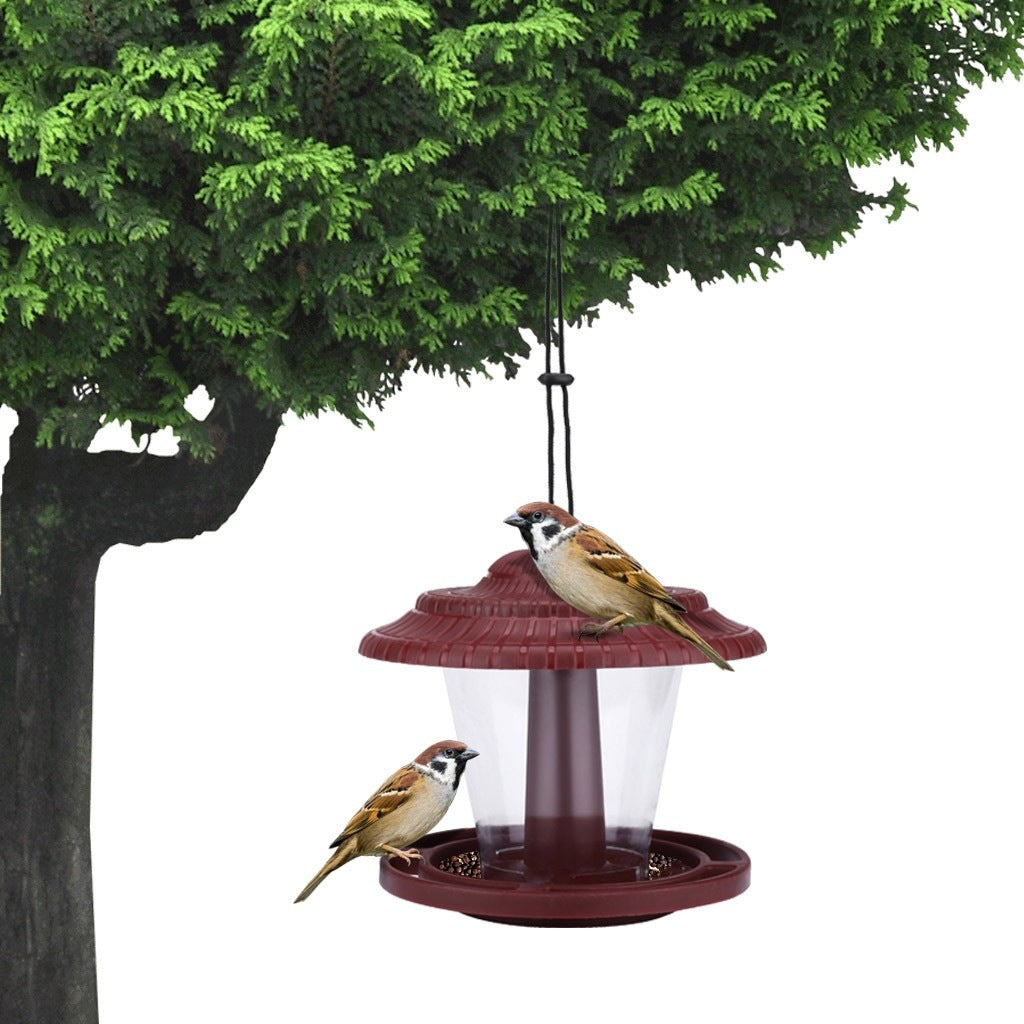 Alimentateur d'oiseaux transparent en plastique