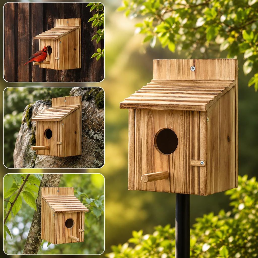 Maison d'oiseaux en bois pour l'extérieur