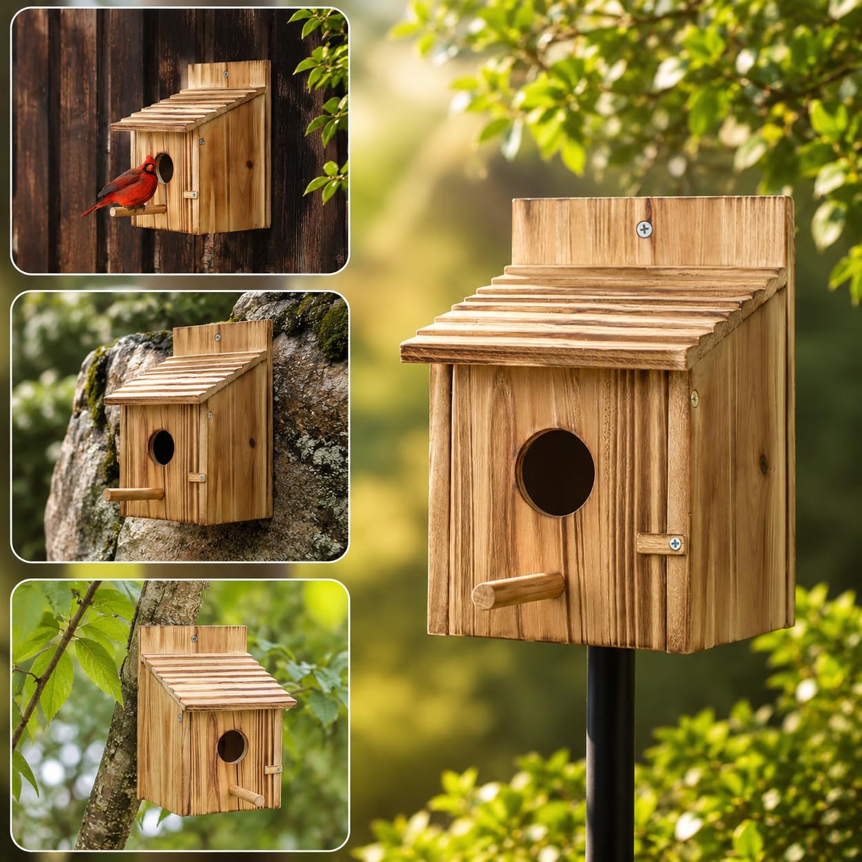 Maison d'oiseaux en bois pour l'extérieur