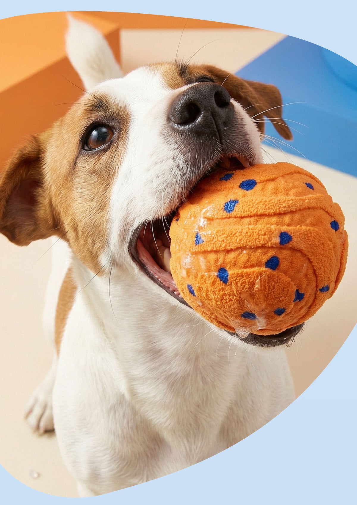 Balle électrique ronde non-toxic pour chien pour l'entraînement