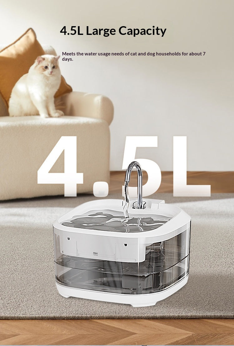 Grande capacité Entièrement transparent Automatique Circulant Fontaine d'eau filtrée pour animaux de compagnie
