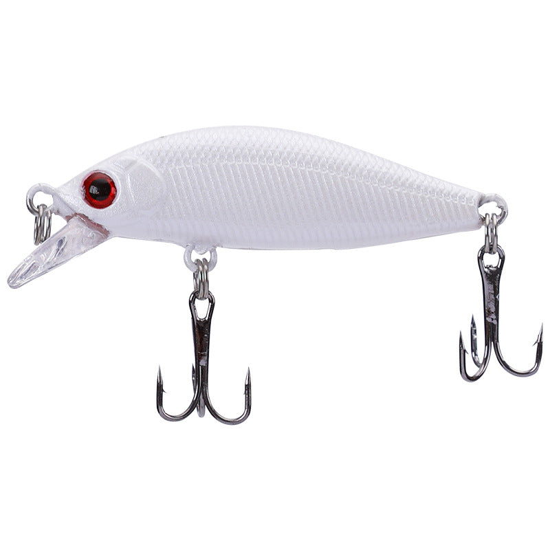 Pêche en eau douce Cockroach Bass Blackfish Bait
