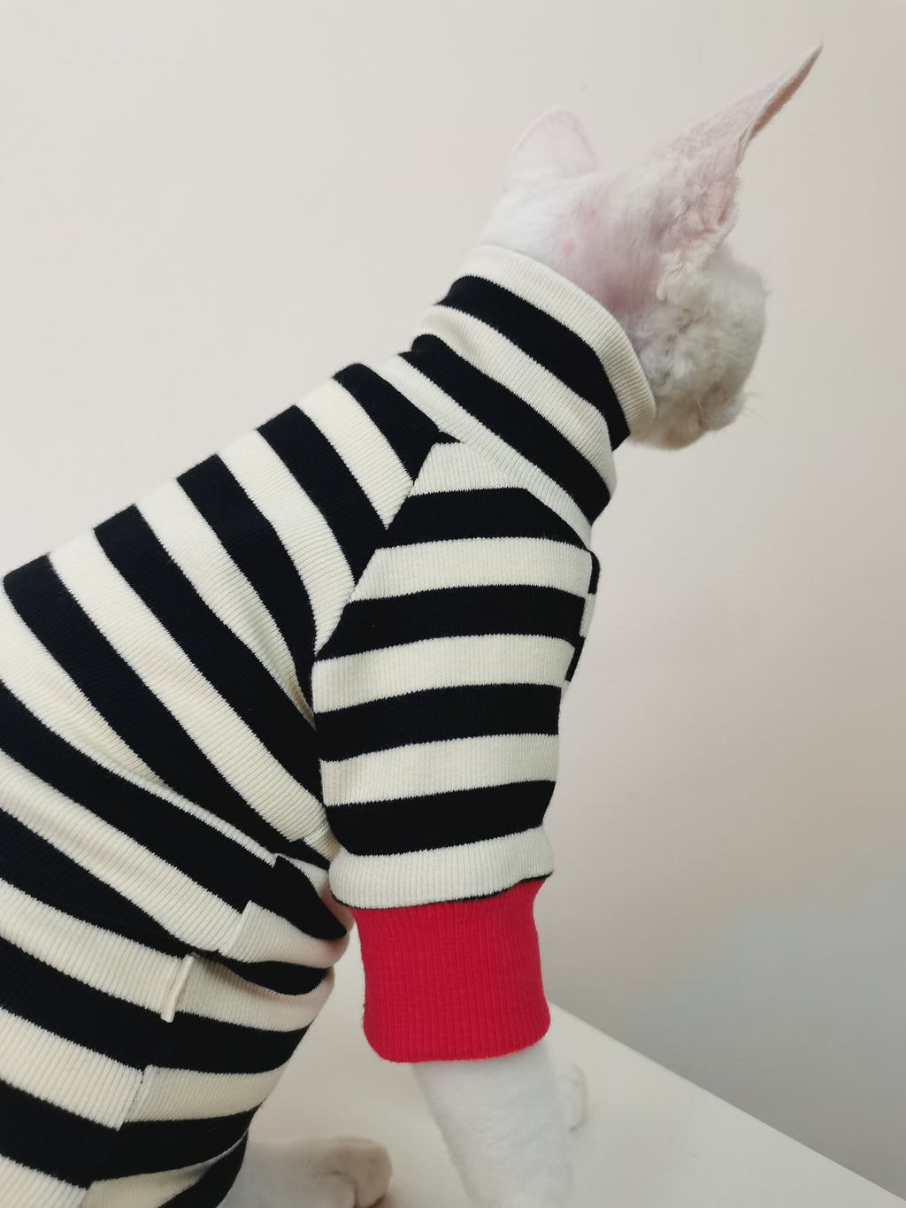 Vêtements pour chats à quatre pattes, sans fourrure