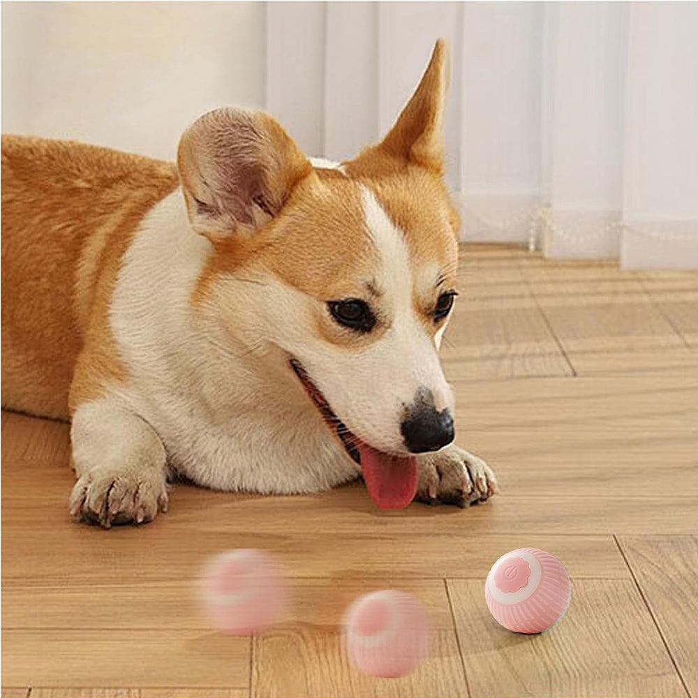 Electric Dog Cat Ball Toy