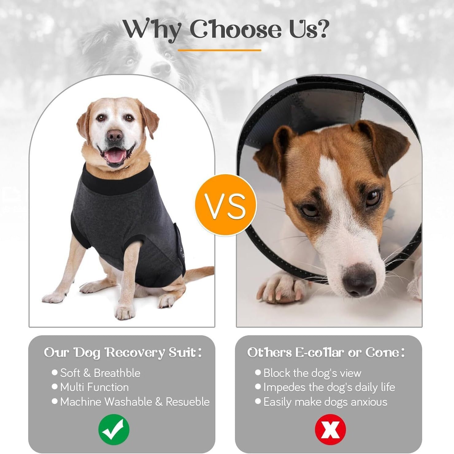Costume de récupération de chien pour Neuter Spay