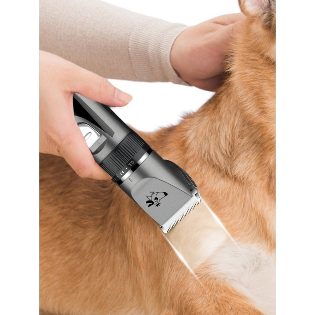 Clipper professionnel de grooming pour chiens.