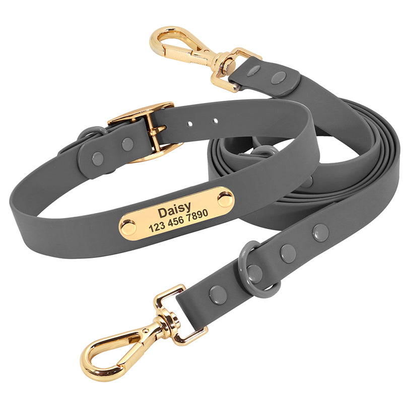 Col laisse chien moyen Teddy
