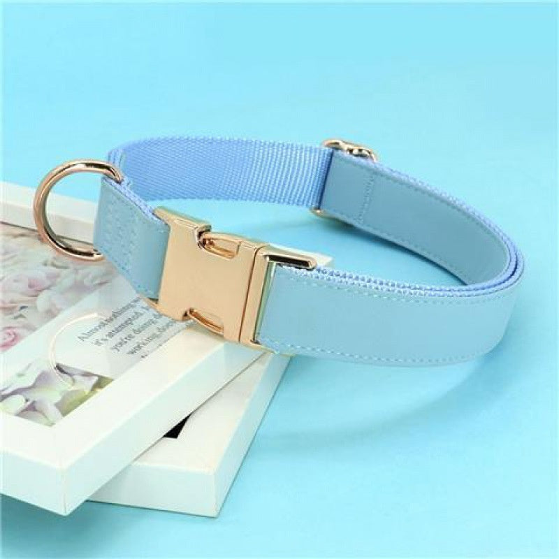 Tag chien collier d'or anti perte