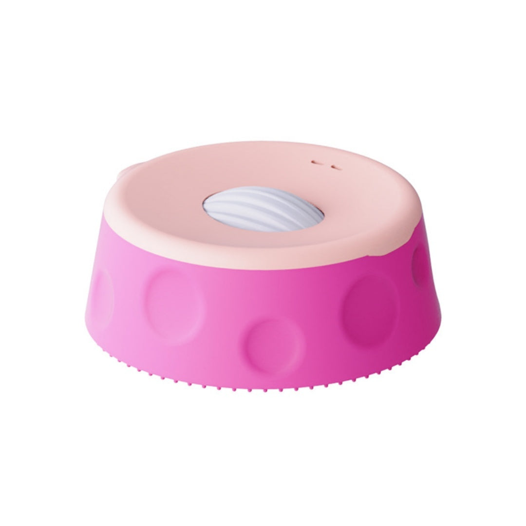 Lent Feeder Licking Bowl