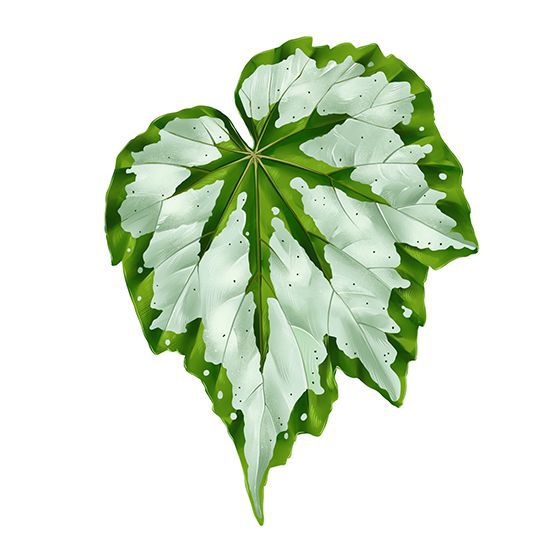Magic plants tropical plants Creative Greenery Refrigerator Magnets