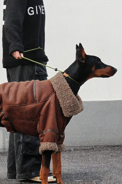 Manteau en cuir d'hiver Plus Velvet Pet pour grands chiens