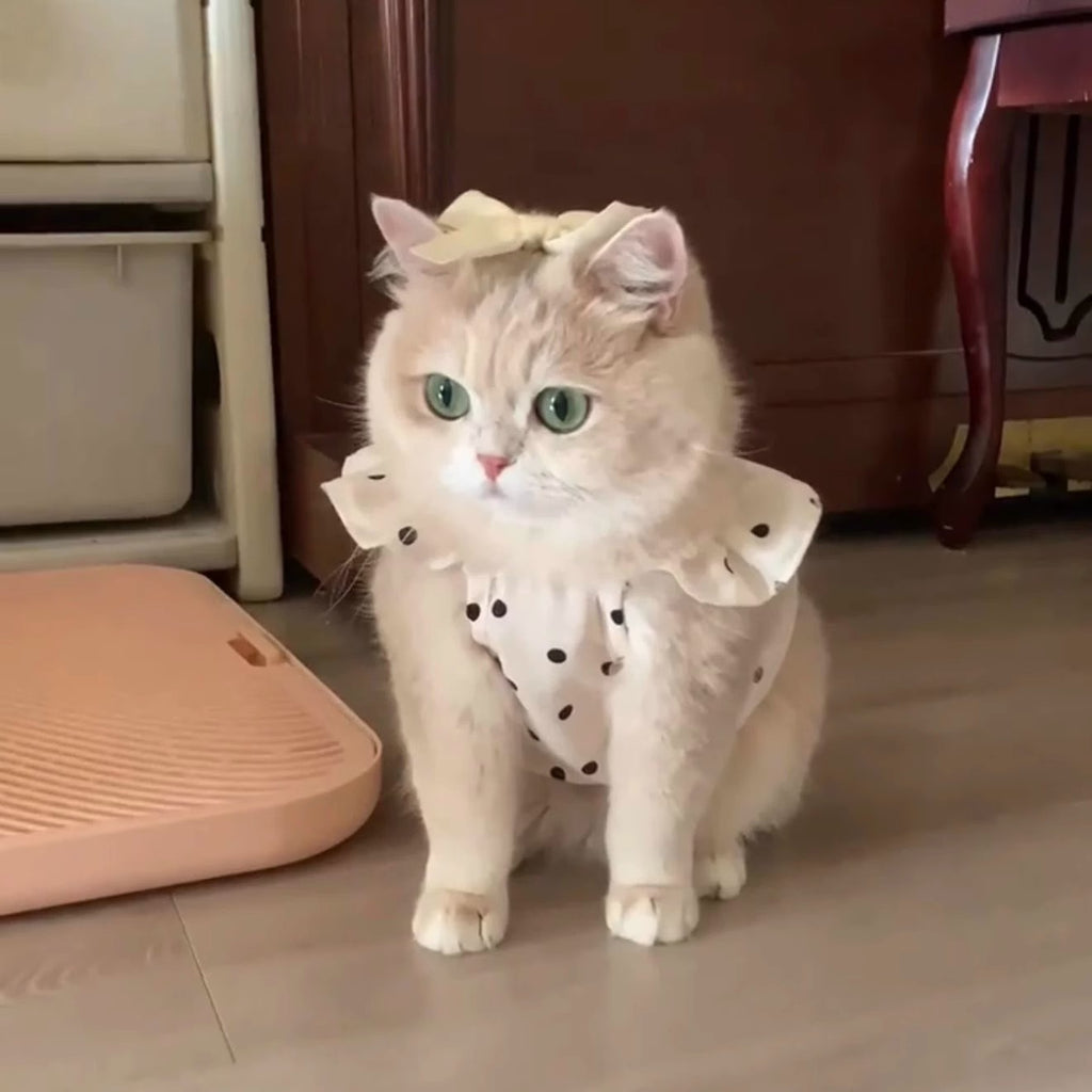 Robe respirante de protection solaire pour animal de compagnie