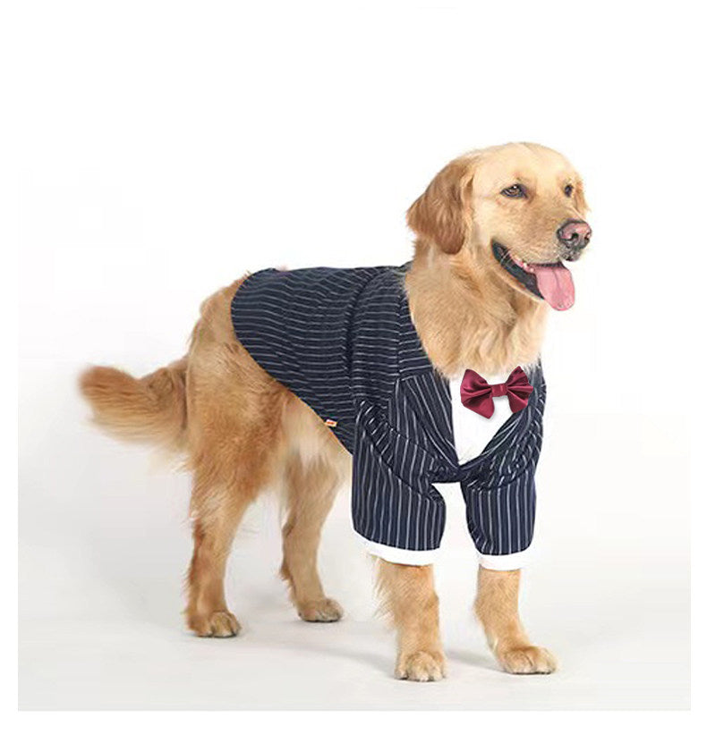 Vêtements polyvalents pour grands chiens