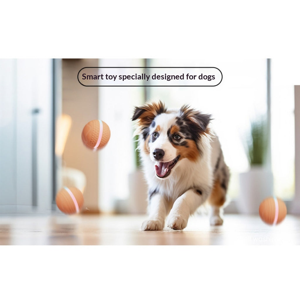 Jouet de chien de boule électrique lumineux et de chat