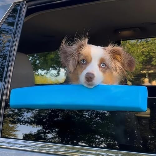 Fenêtre de voiture de chien Chin repos pratique