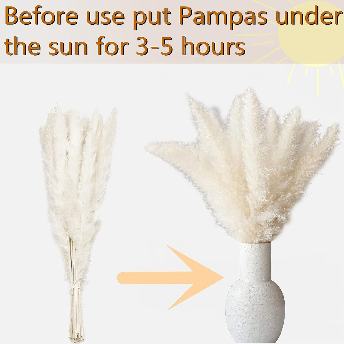 Ensemble de 125 tiges d'herbes de pampas séchées