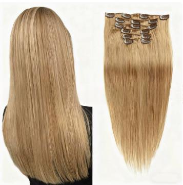 Extensions pour usage domestique portable Extensions pour cheveux