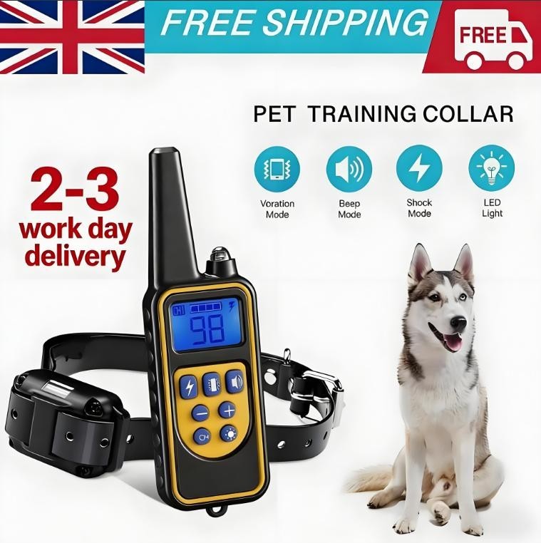 800M Électric Pet Dog Training E-Collar Anti-Bark Obedience télécommande LCD