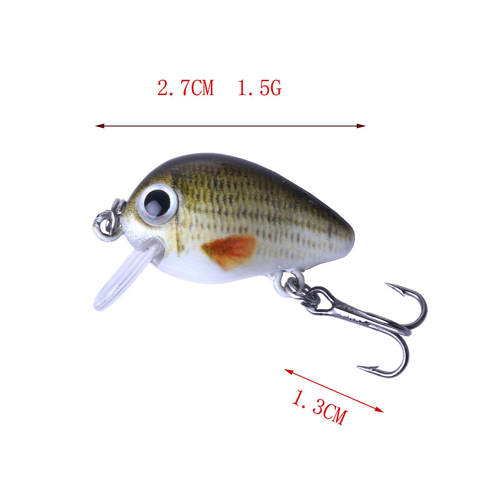 5 couleurs Lure Set 1,5G Mini Rock Lure Fishing Lure Box