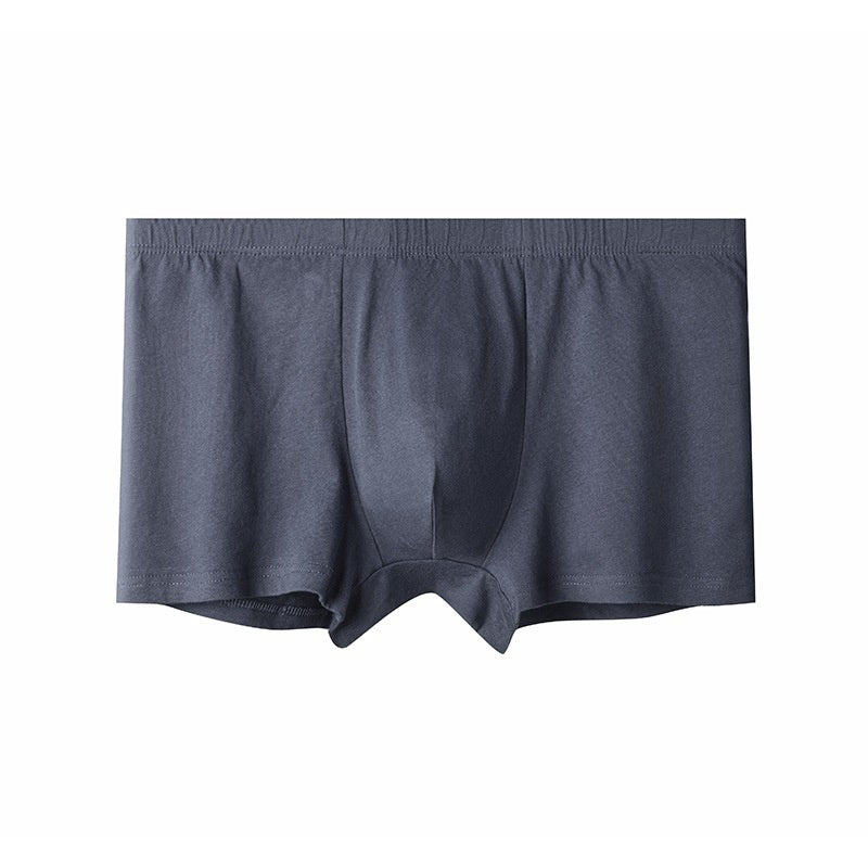 Briefs pour hommes pour hommes d'âge moyen et plus âgés