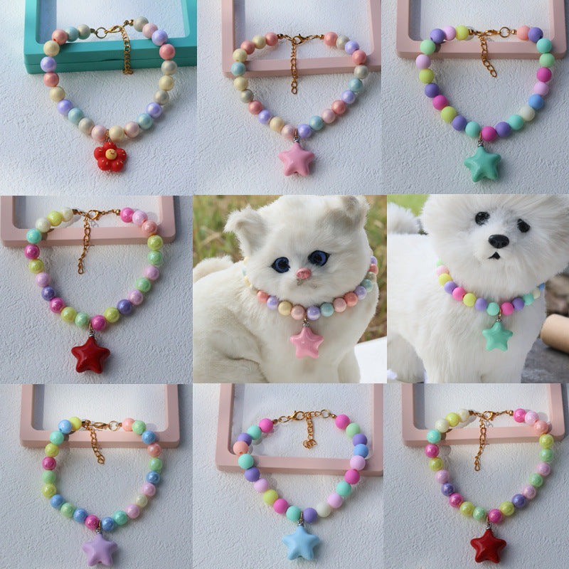 Collier pour animaux de compagnie de couleur mode