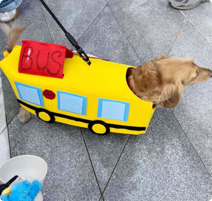 Vêtements pour animaux de compagnie