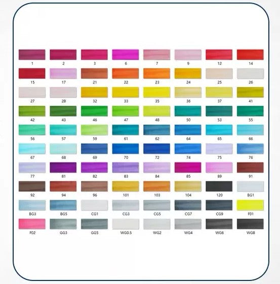 Double-tête alcool huileux couleur Animation stylo de peinture pour les étudiants professionnels d'art