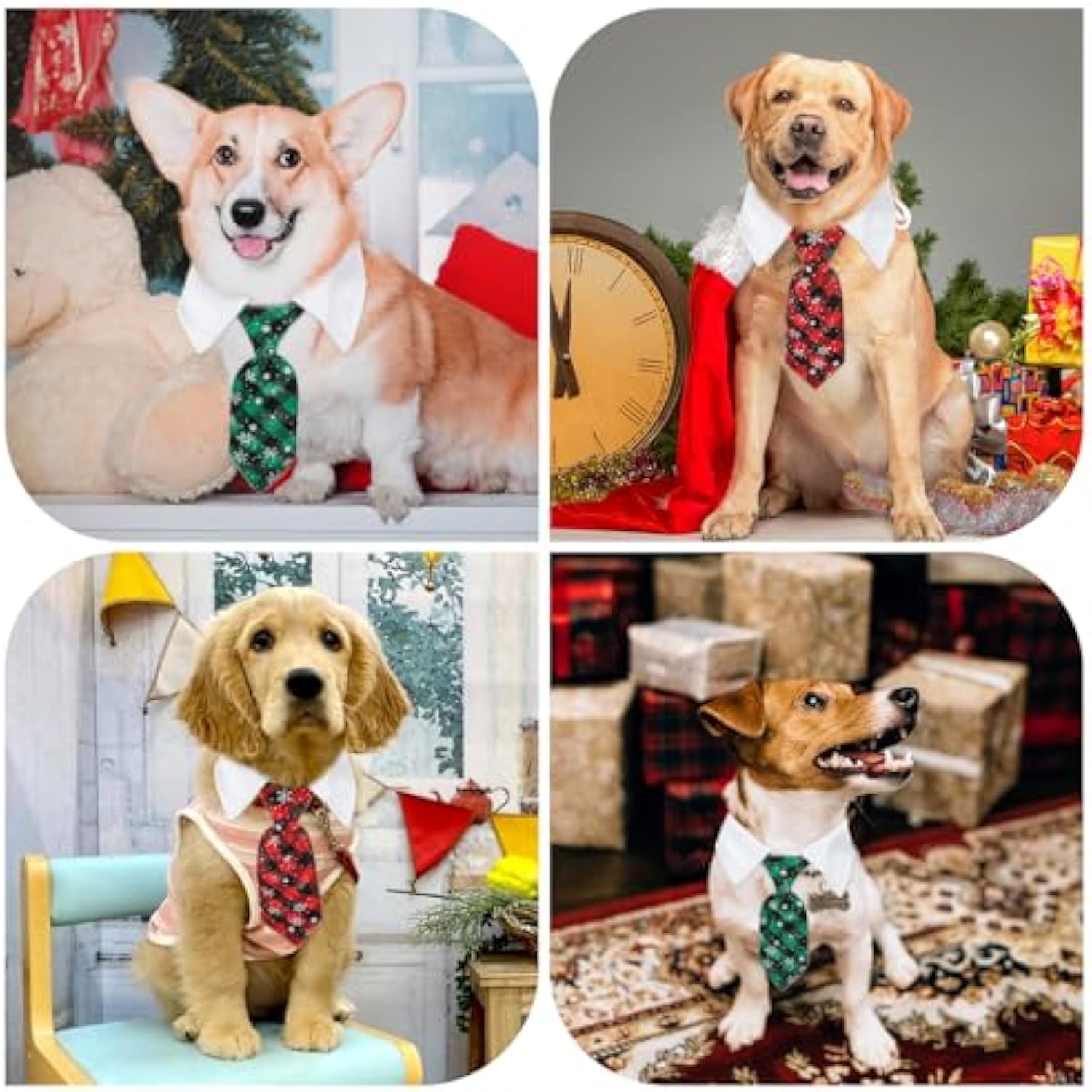 Collier de chien de Noël