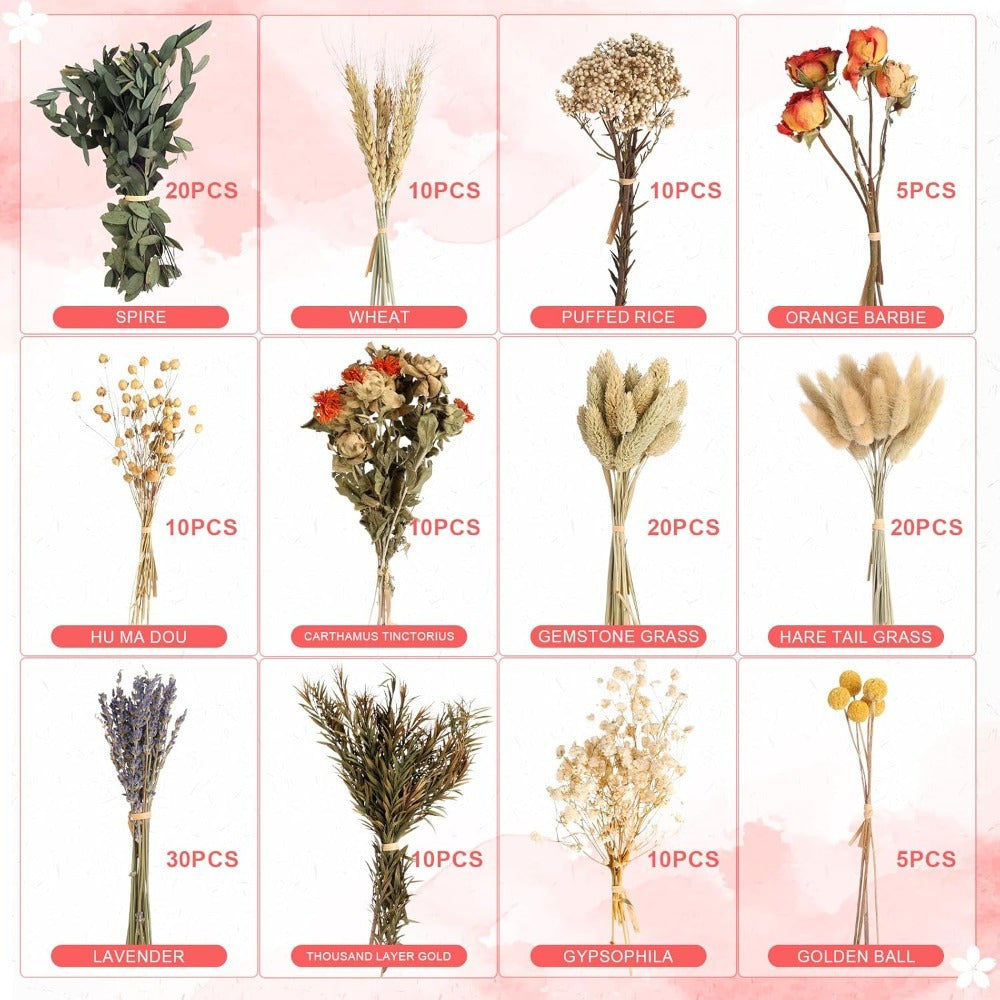 Set de bricolage de fleurs séchées de 160 pièces