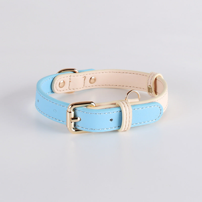 Collier en cuir pour chiens de taille petite et moyenne