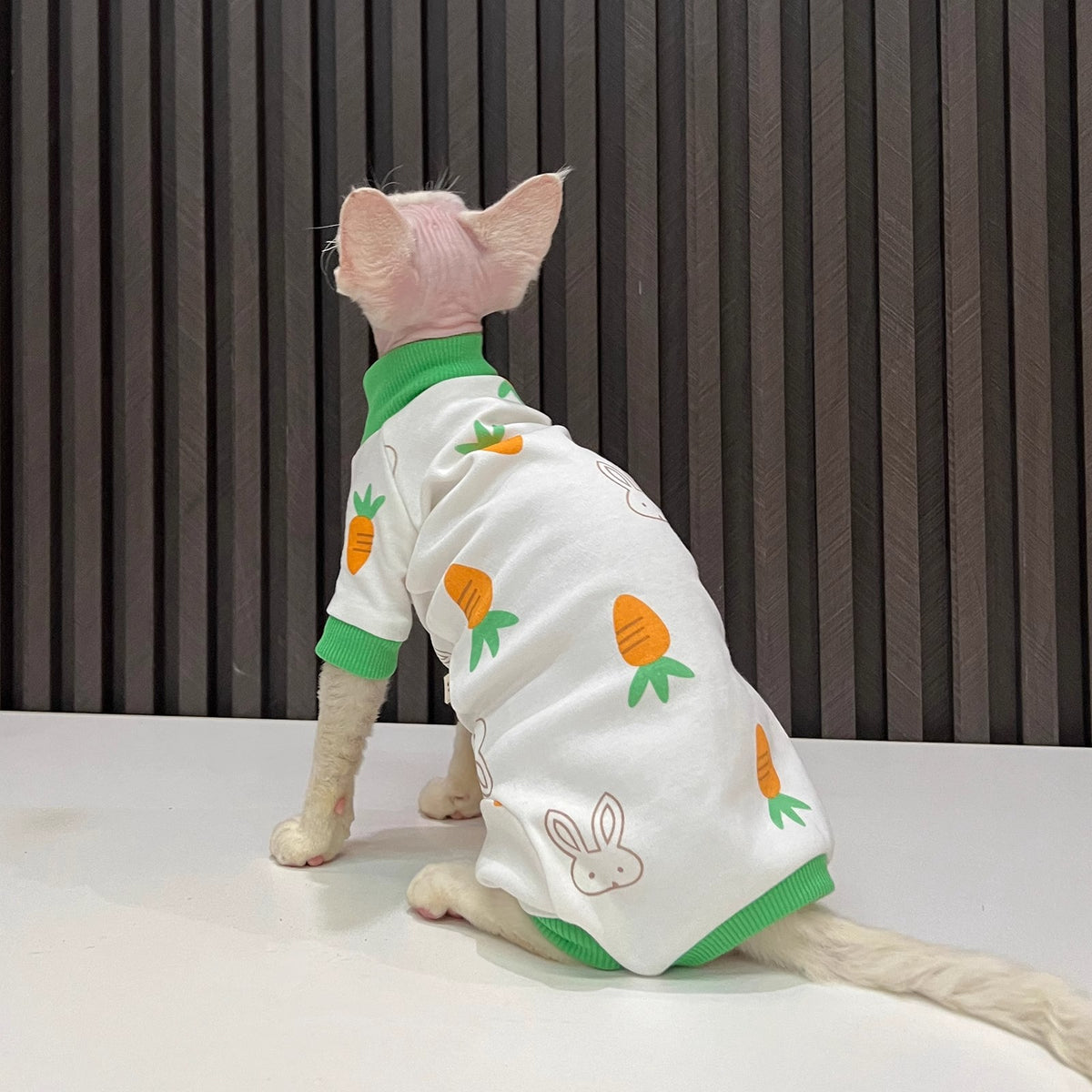 Le printemps et l'automne sans cheveux Cat tout inclus Anti-linte manches Cat vêtements