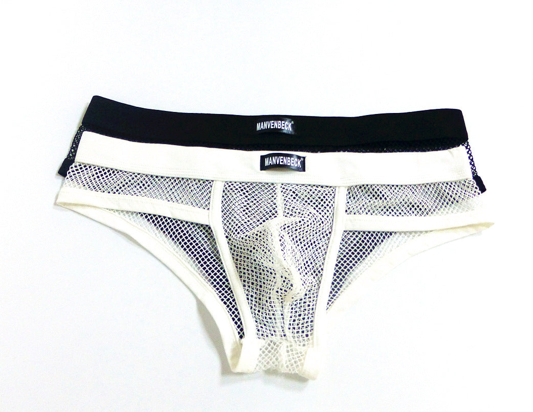Sous-vêtements homme Transparent Mesh Slips Basse taille Convex Design Sous-vêtements hommes