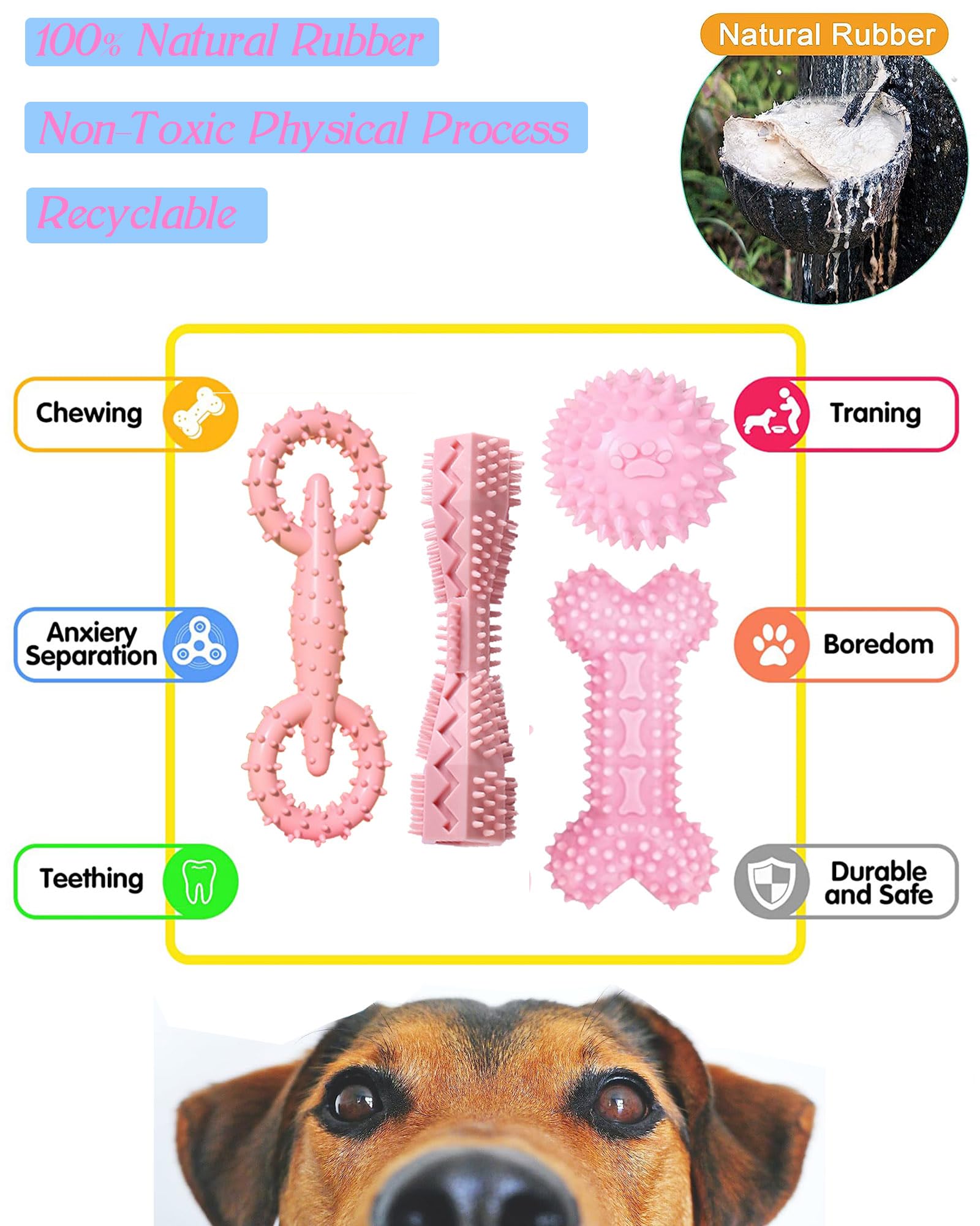 Jouets à croustilles pour petits chiens moyens Jeu de jouets de chien fille Mignon 2-8 mois Cle