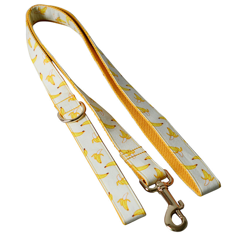 Collier de corde de remorquage Pet fournitures or métal boucle