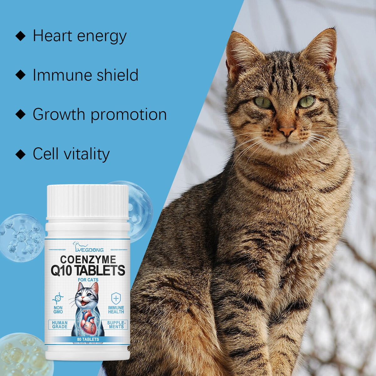 Daily Coenzyme Q10 tablets for cats