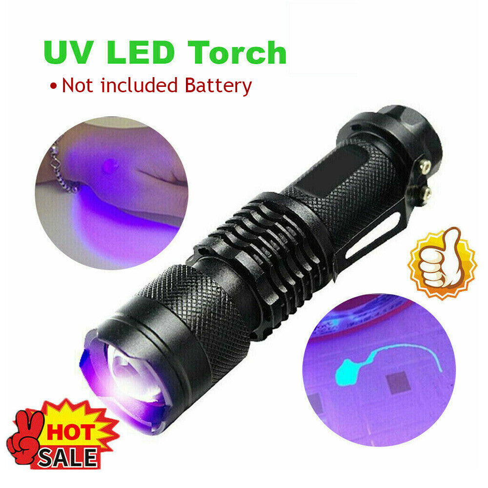Lampe de poche UV Ultra Violet Lampe de poche portatif Petite lampe de poche 395nm Mini lumière Inspectio