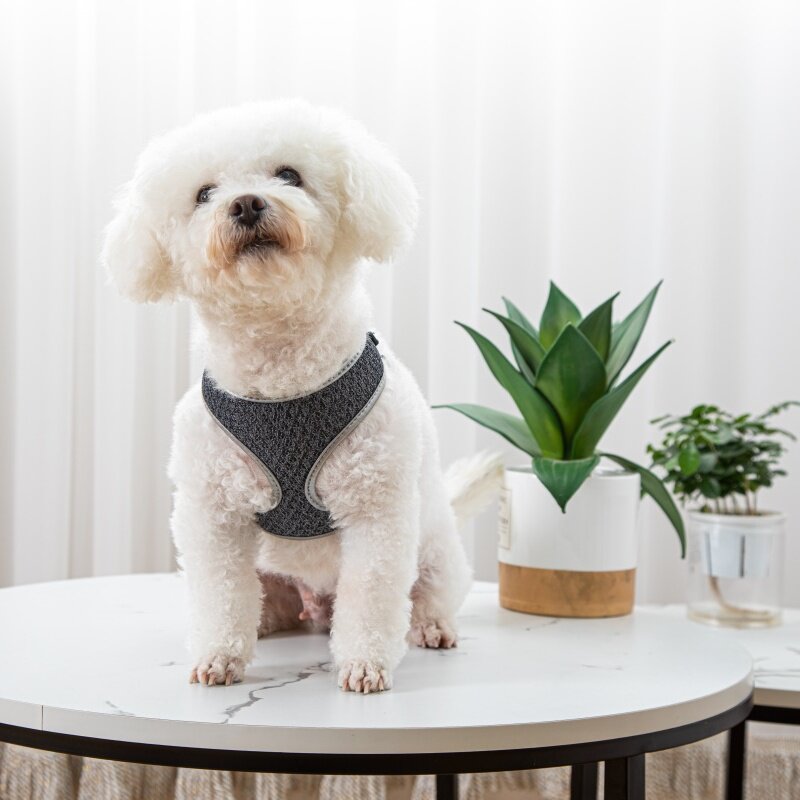 Pet Dog Walking Leash Vest Style Harness