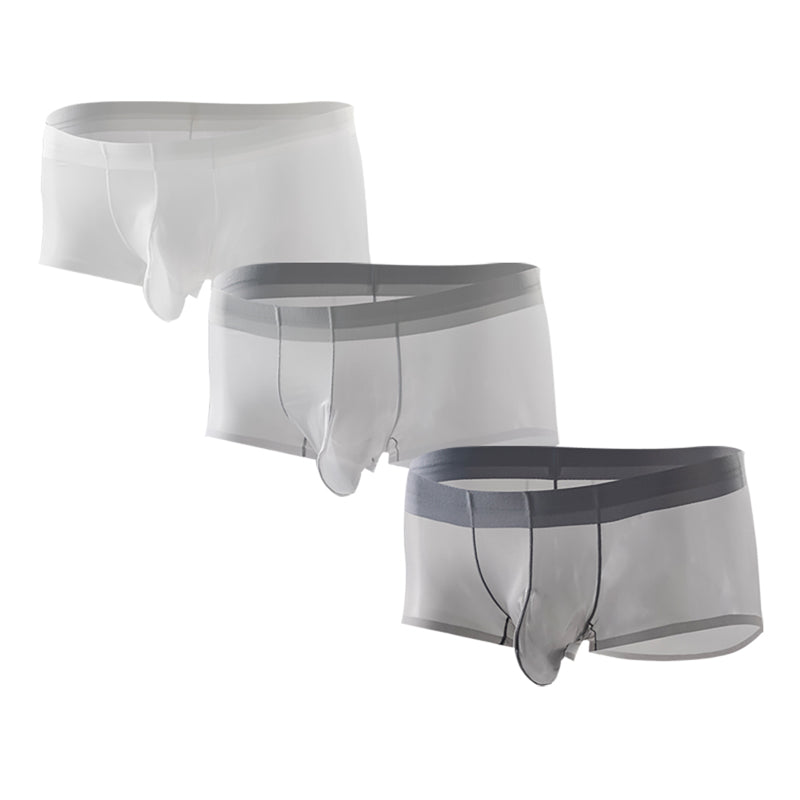 Slips de refroidissement ultra mince 3PCS homme léger Microfibre Sous-vêtements respirant Design Tr