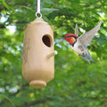 Cummingbird Suspension Oiseaux Nest House Craftwork en bois